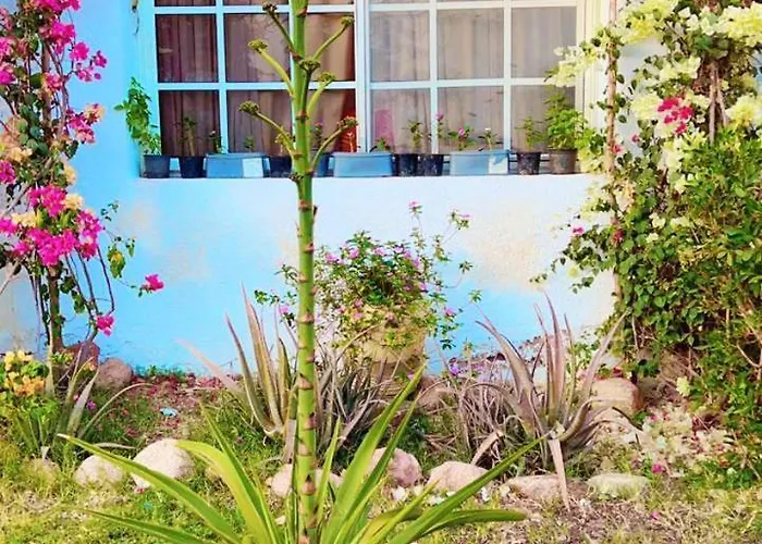 Appartement Delta With Garden View