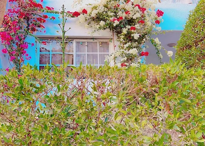 Appartement Delta With Garden View
